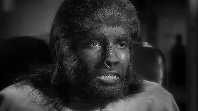 Imatge de Captive Wild Woman