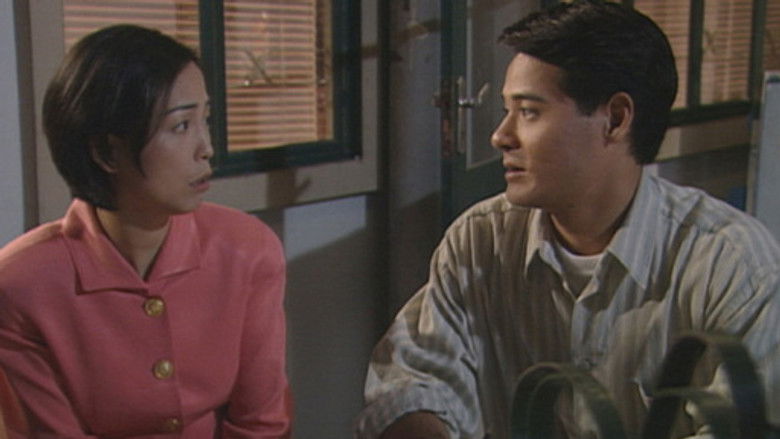 真情 Temporada 1 Episodio 353 Cuevana 3