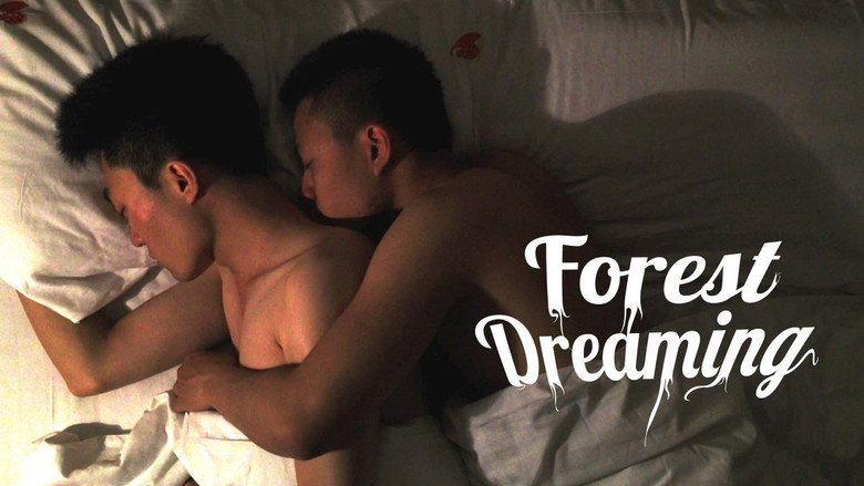 Forest Dreaming 1