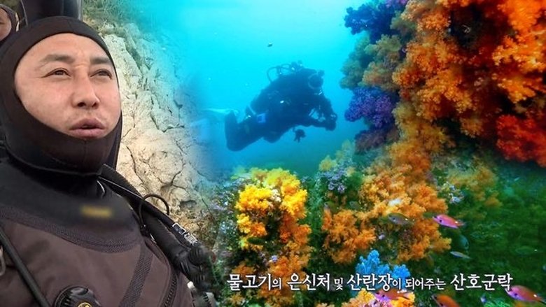 Still image for Law of the Jungle season 1 episode 448: Episode 448 Still image for Law of the Jungle season 1 episode 448: Episode 448