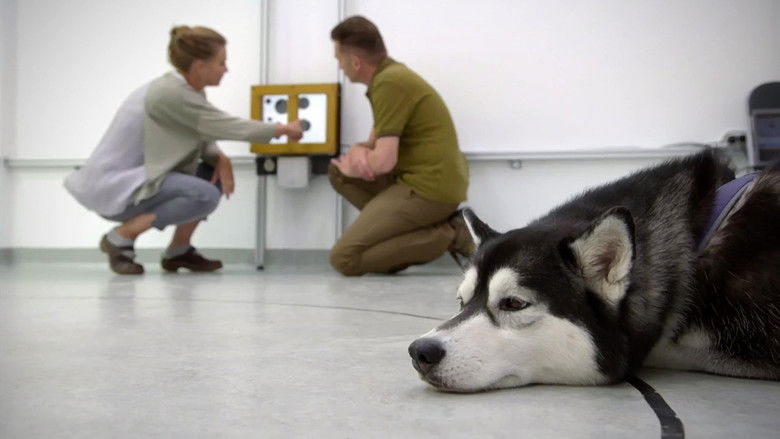 Still image for Cats v Dogs: Which is Best? season 1 episode 1: Episode 1 Still image for Cats v Dogs: Which is Best? season 1 episode 1: Episode 1