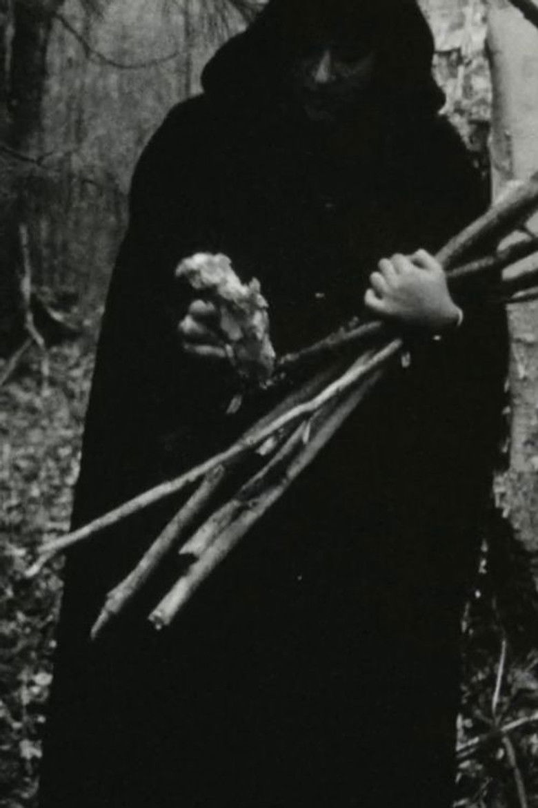 Imatge de Transformations