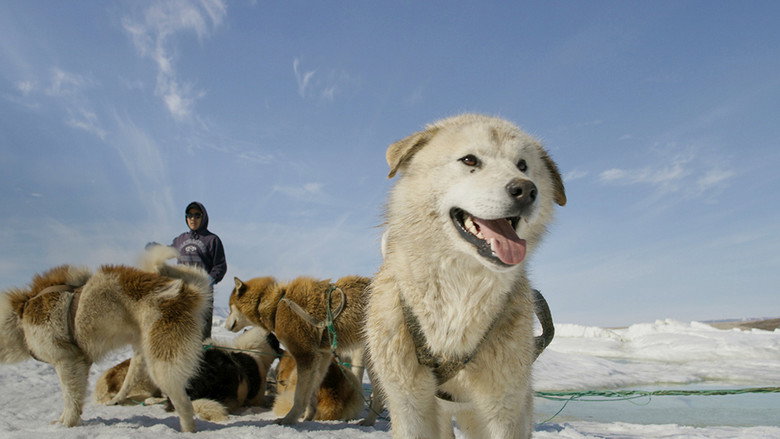 Still from Frozen Planet II - Season 1 Episode 6