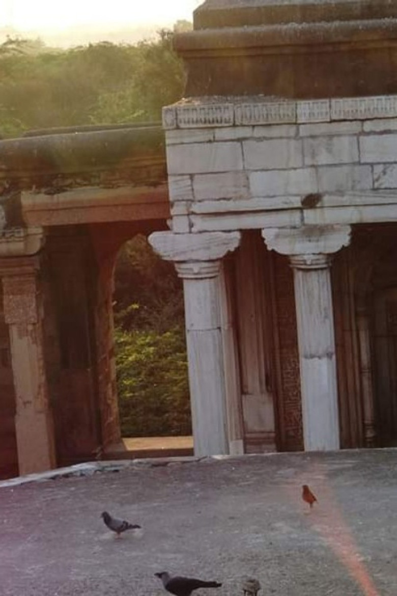 Imatge de No Stranger at All