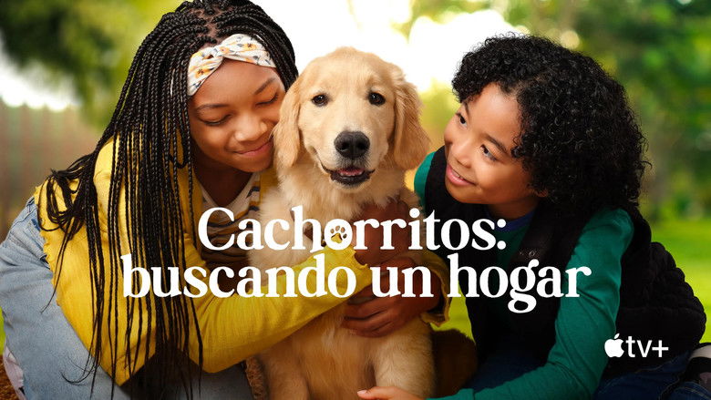 Gallery image from nao2uDFbUgTGXUM1pr9cfK4DYR5.jpg