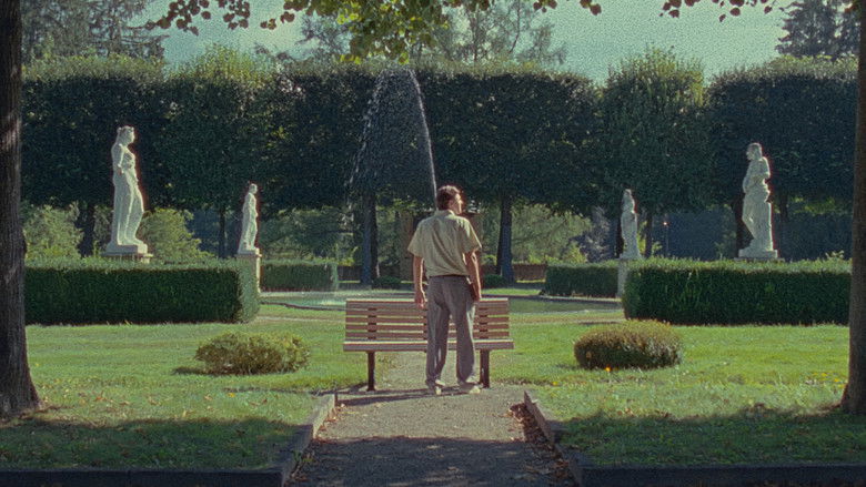 Imatge de The May Bench