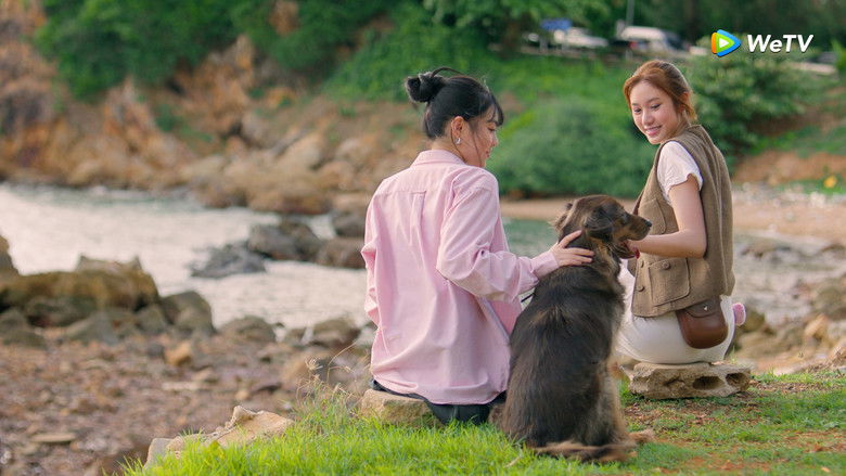 Gallery image from nbBSfF2lFnwXfzxyqD9Af582P2q.jpg