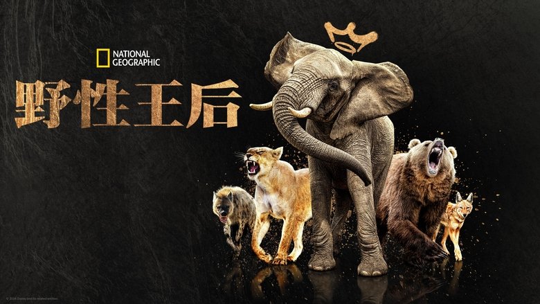 Gallery image from nbOVxYDaf8Y6t9cHG0vQle3uCn6.jpg