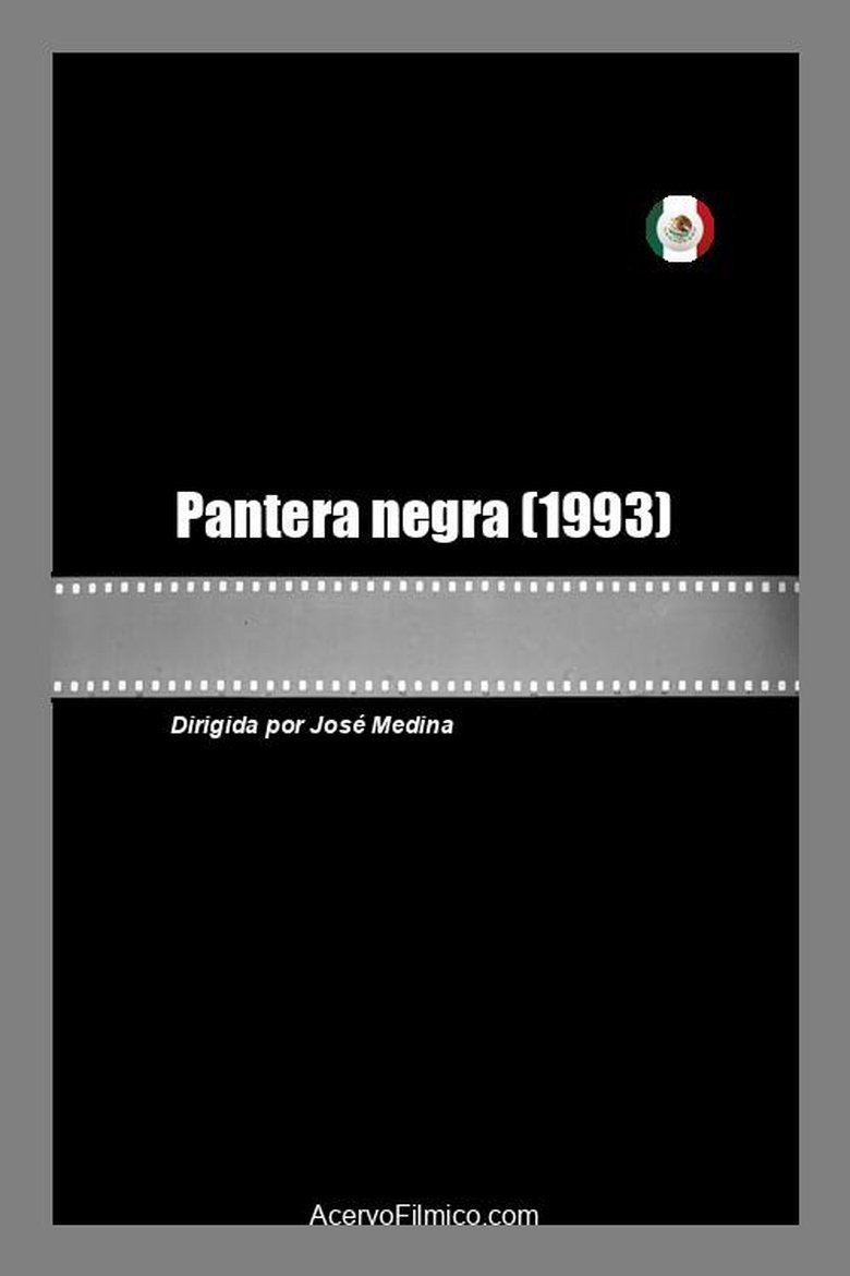 Pantera negra main poster
