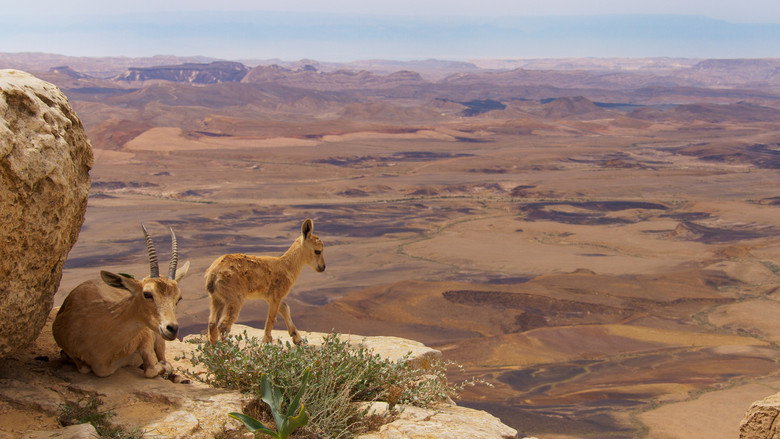 Still from Planeta Tierra II - Temporada 1 Episodio 2