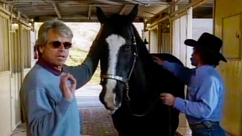 Still from Knots Landing - Season 14 Episode 16