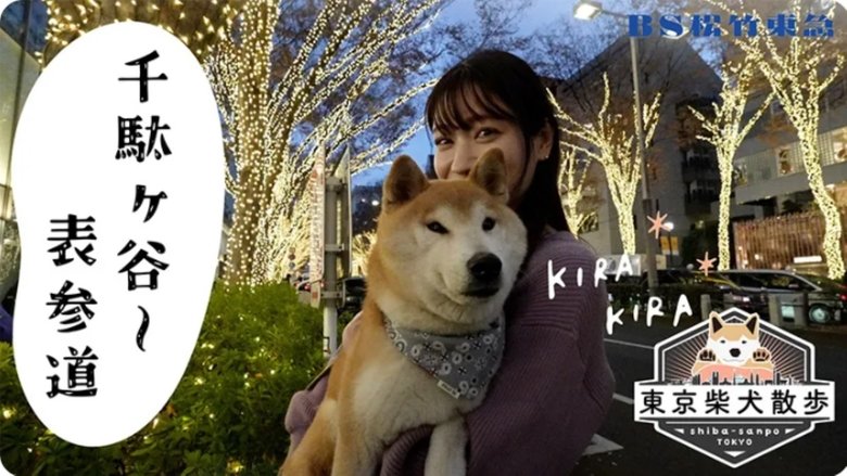 Still image for 東京柴犬散歩 season 1 episode 4: Episode 4