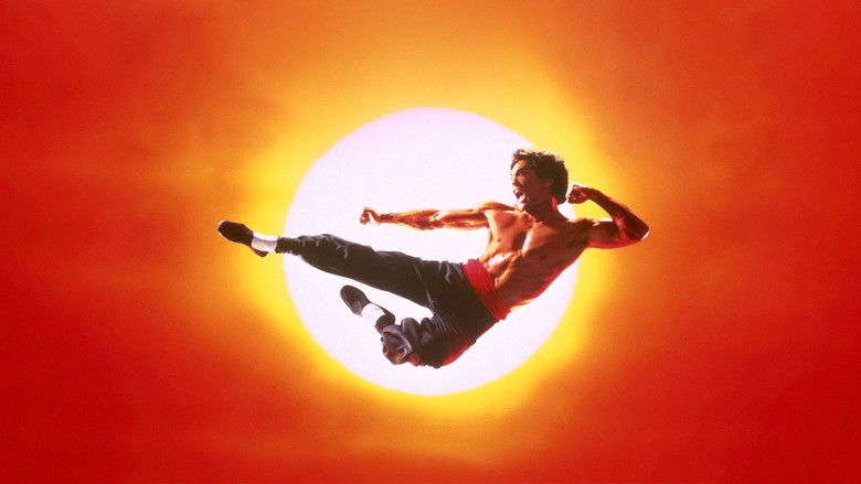 Image d'arrière-plan 8 du film Dragon, l'histoire de Bruce Lee
