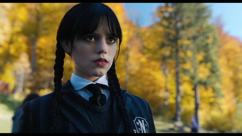 Gallery image from ndPm9TYRv2At6nhrVrR5t8WF198.jpg