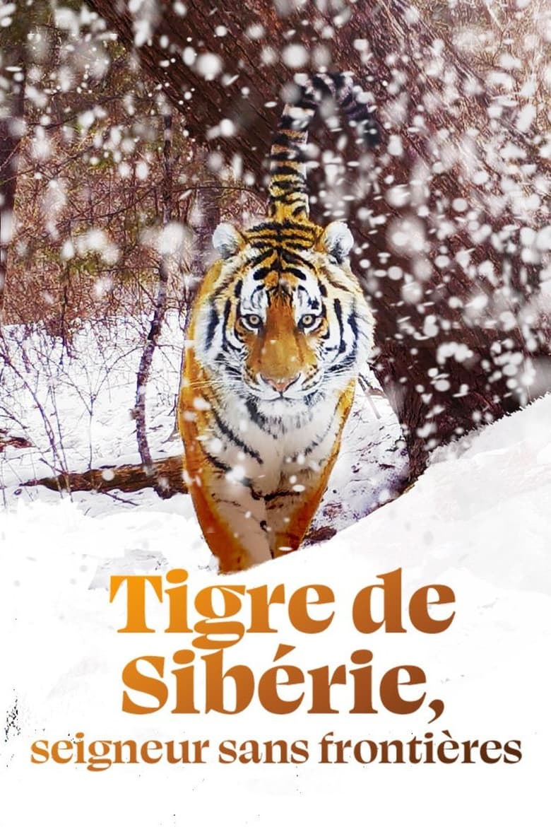 Tigre de Sibérie, seigneur sans frontières (2023)
