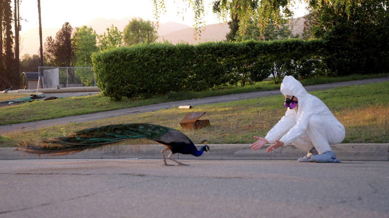 Image d'arrière-plan 2 du film All the Walls Came Down