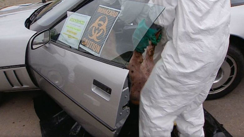 Still image for MythBusters season 1 episode 10: Stinky Car Still image for MythBusters season 1 episode 10: Stinky Car