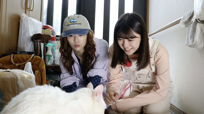 Gallery image from ndVtgm5Fs9kphkrAFCKe3Awld1e.jpg