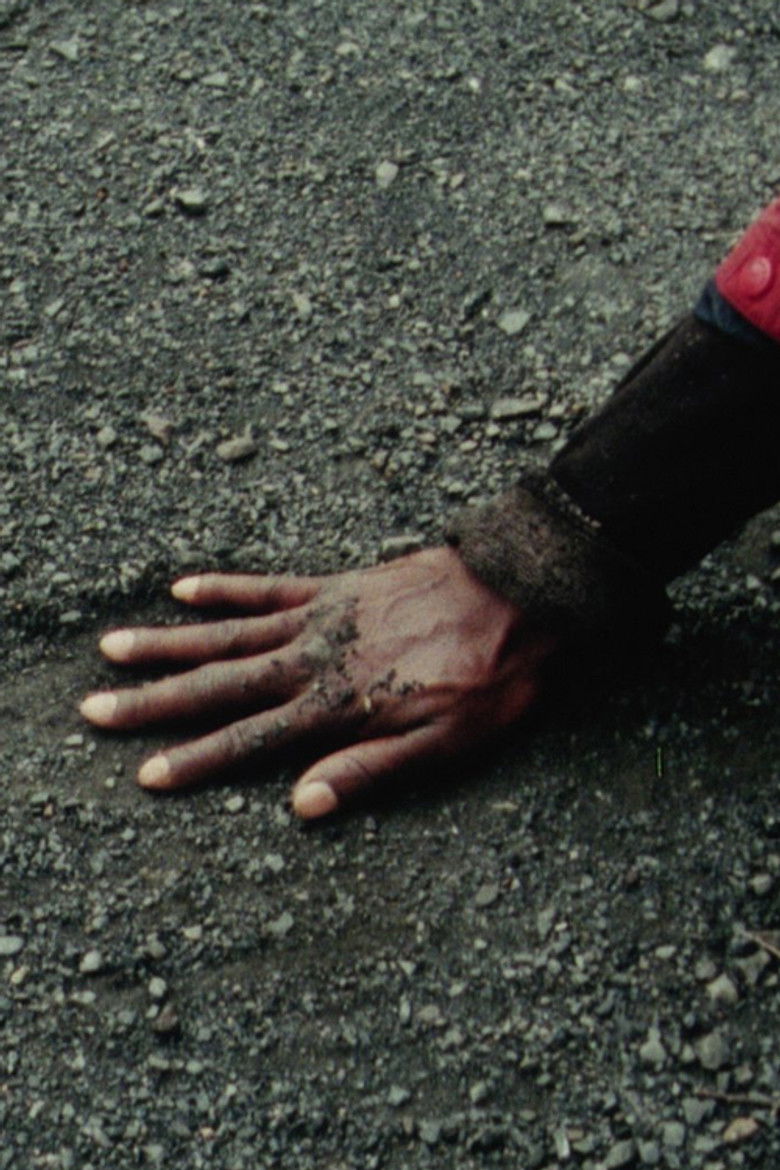 Imatge de Les attendants