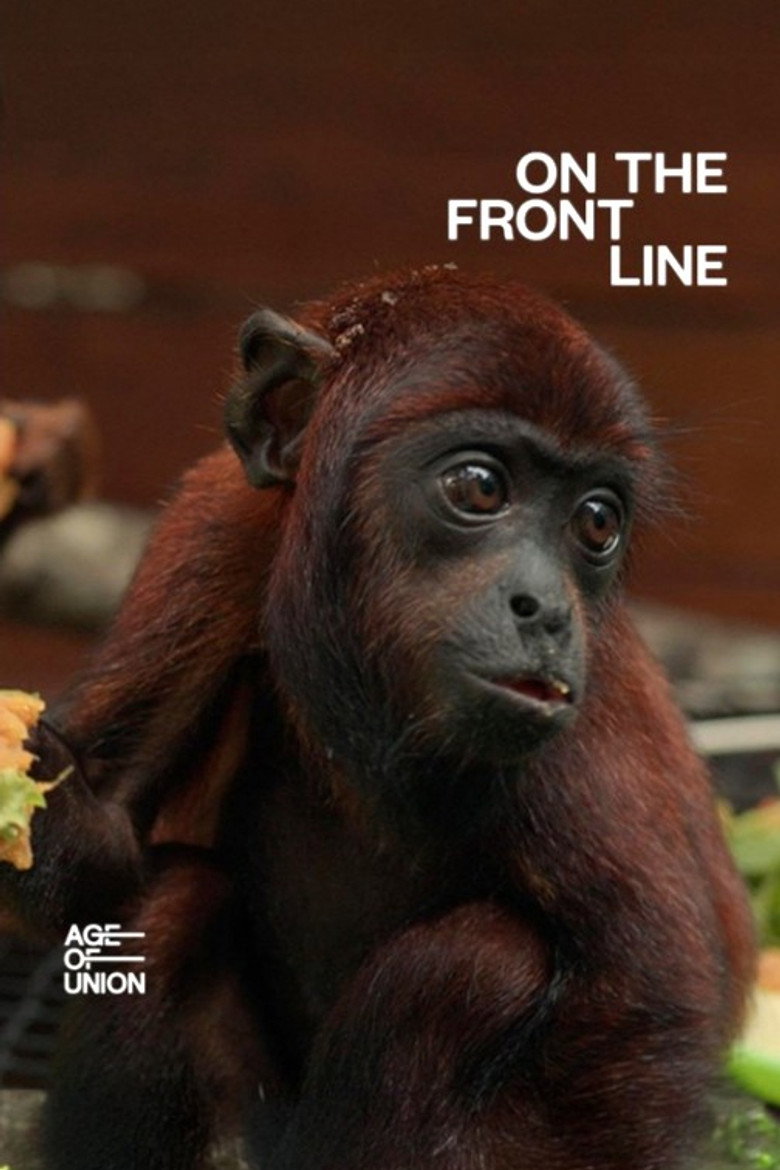 On the Frontline