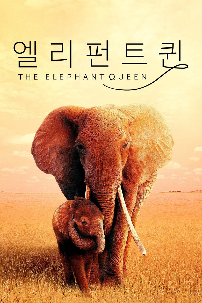 '엘리펀트 퀸' - The Elephant Queen(The Elephant Queen) poster