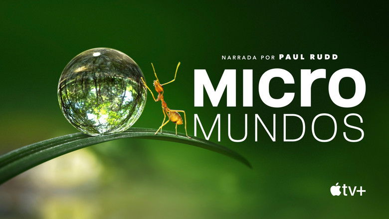 Gallery image from neWWzeB6pBFapgf7Zg978Encntb.jpg