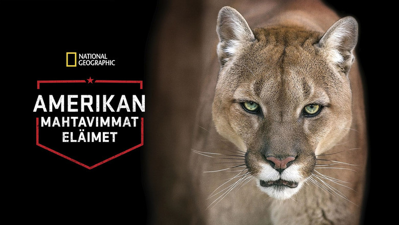 Gallery image from ng69ZGud6qxRHVmyFF17y7I4YyO.jpg