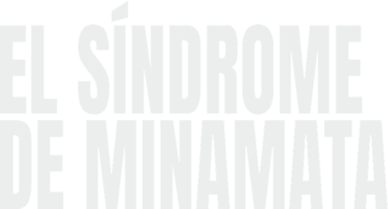 Imagen de El Síndrome de Minamata