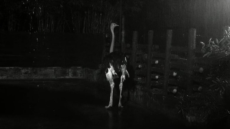 Gallery image from nhm4YHIUNn3H2HJpMqXrn0KrFom.jpg