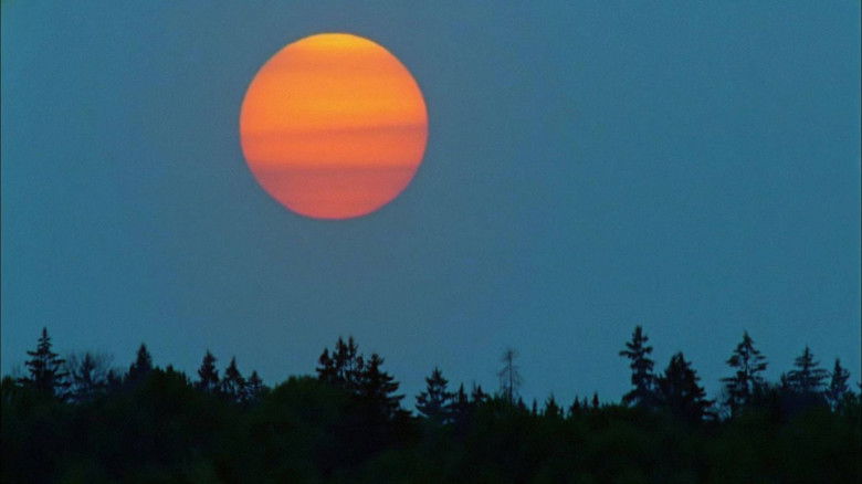 Still image for Saga Prastarej Puszczy season 1 episode 8: Episode 8