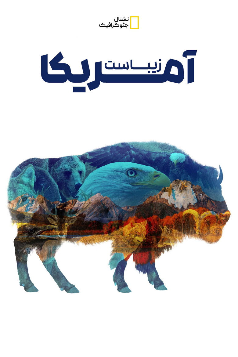 پوستر آمریکا زیباست