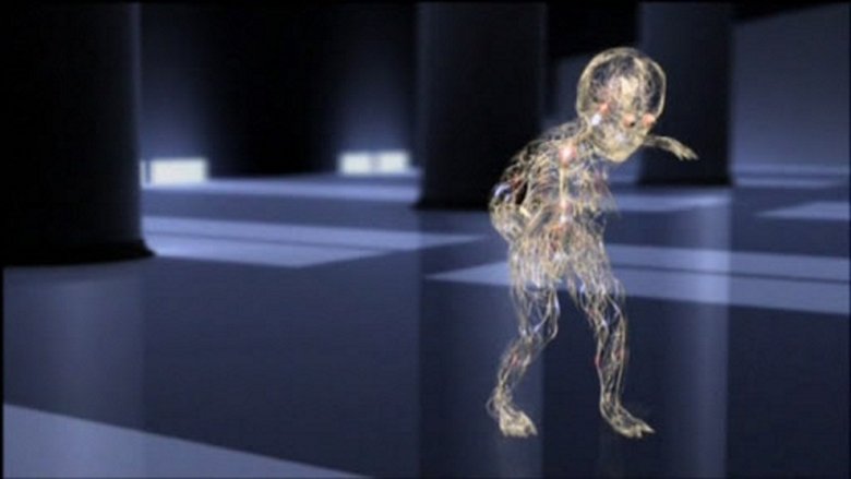 Human Senses backdrop