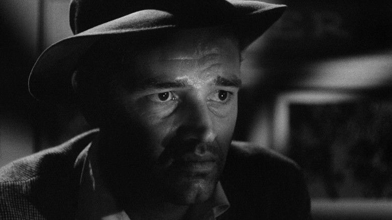 Nkg9tldaz9oqh5qmsg81tl9xu0h