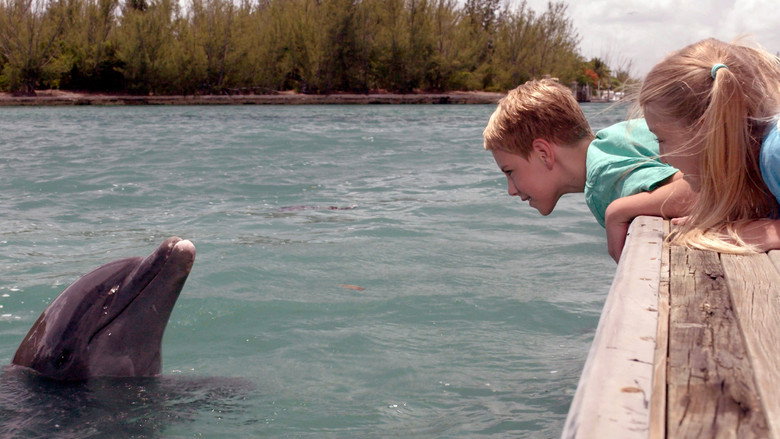 Echo der Delphin