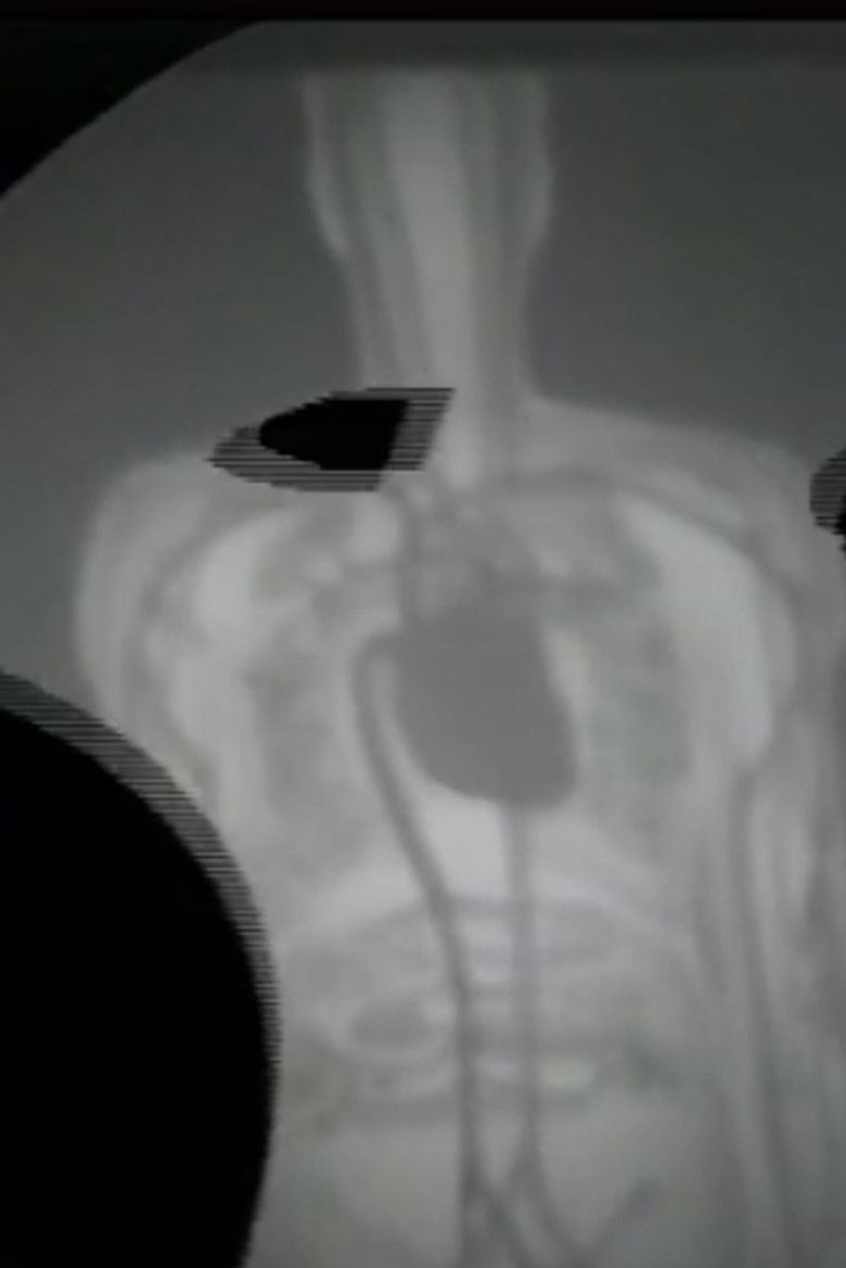 Imatge de The Heart Cycle