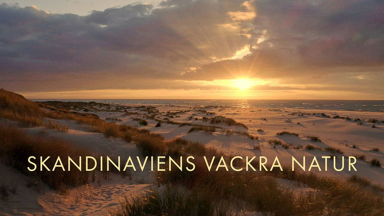 Gallery image from nmX1fVfmzGqEog9PF9WqKQQrxaG.jpg