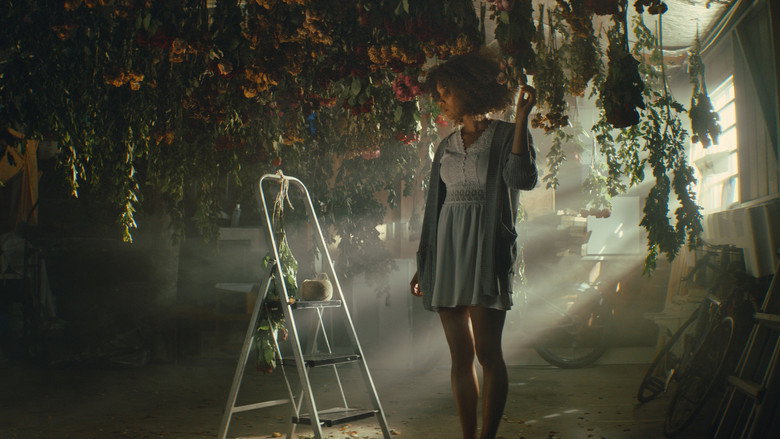 The Wilted Rose backdrop