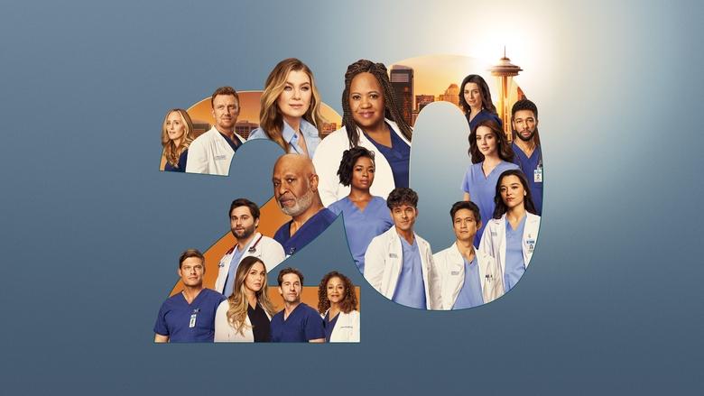 Grey's Anatomy Season 13 Episode 1 : Undo