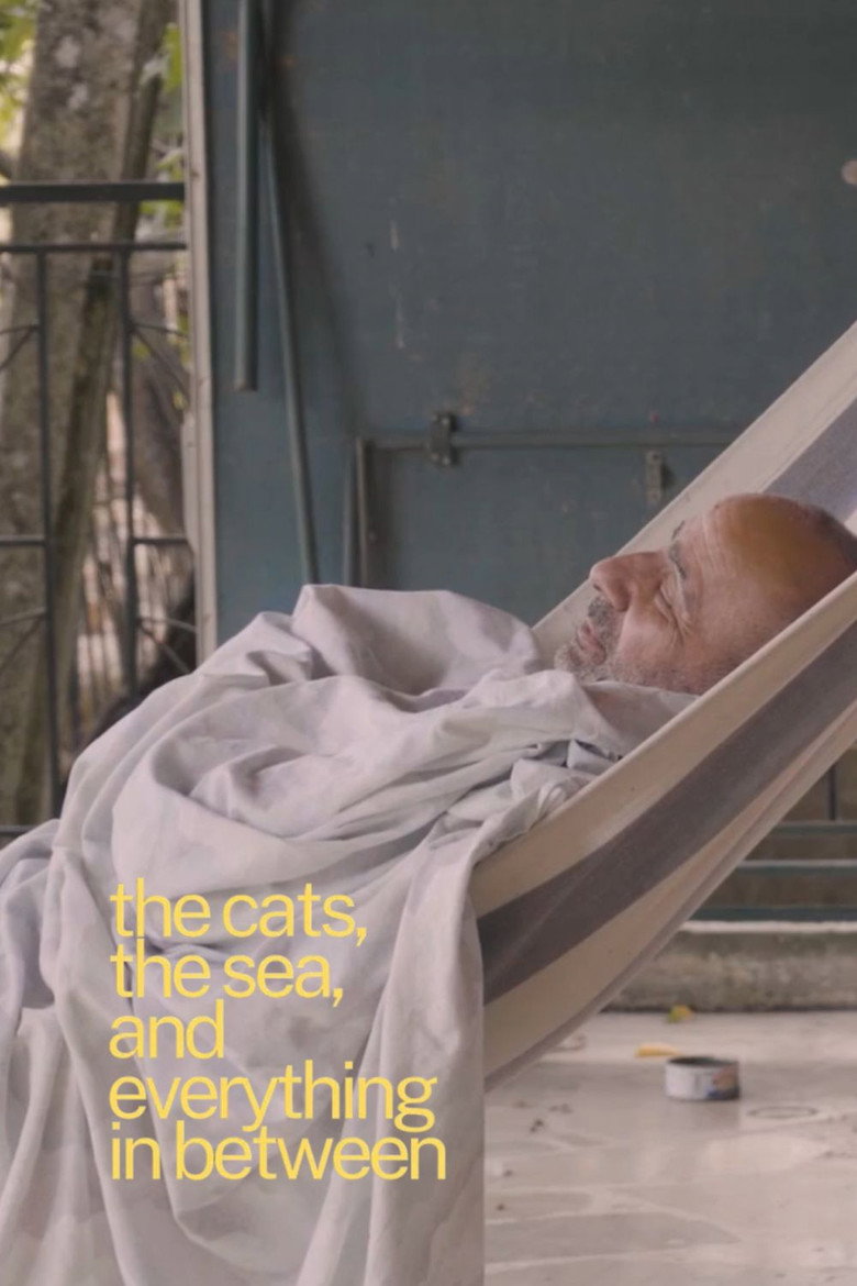 Imatge de The cats, the sea, and everything in between.