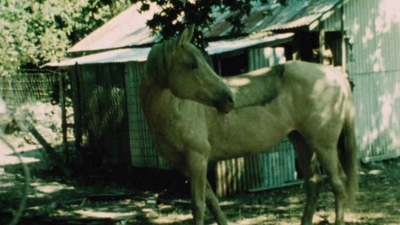 Gallery image from nnFbSQHgsr3M7WOebq4yAk8ebig.jpg