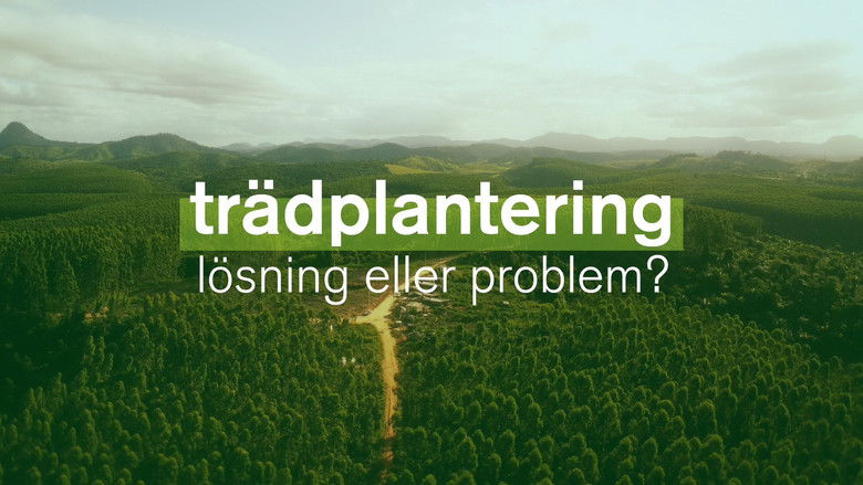 Gallery image from nnZ8j2VZpMRo2zFN8STQI5oEfqn.jpg