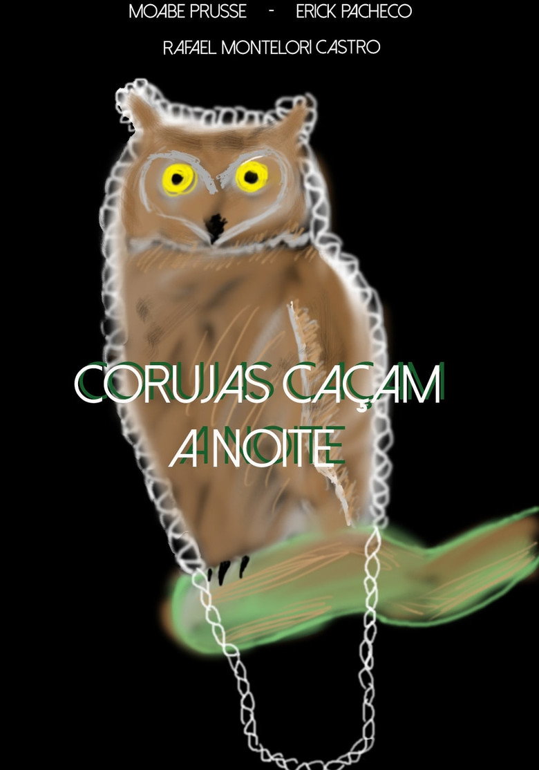 Corujas Caçam à Noite background