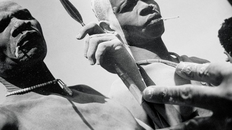Gallery image from nnhyKr0wSG9Mn1CoX80NKWN1OKf.jpg