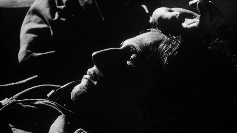 Regular Lovers Photo 2