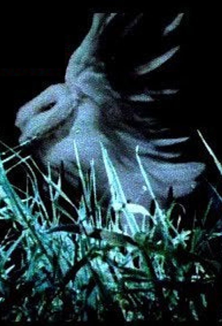 Imatge de God Turn Me Into A Flower