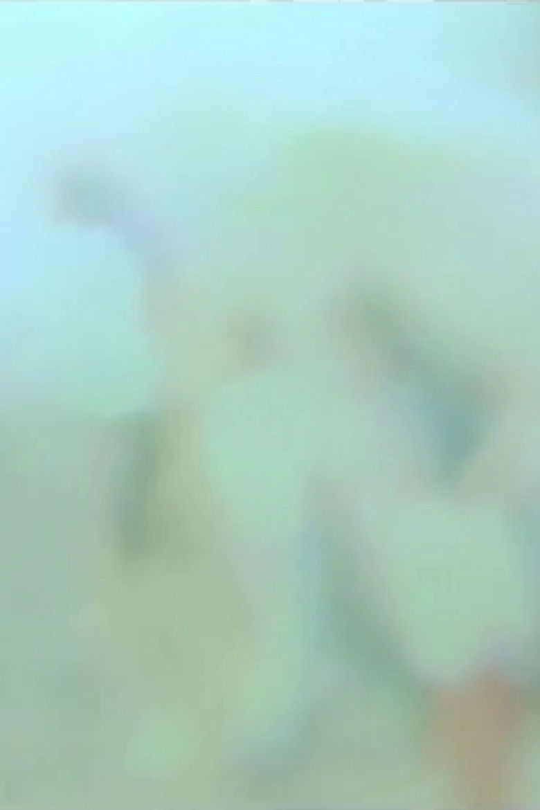 Imatge de Dietro i Vetri