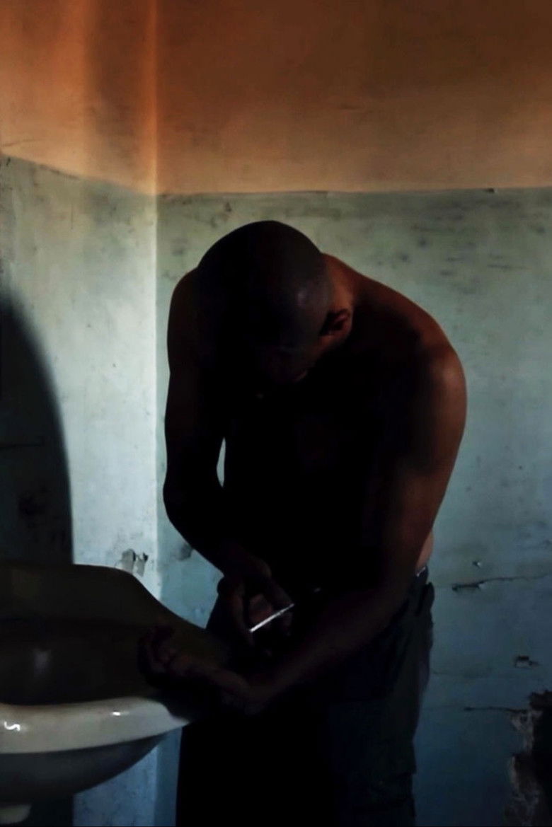 Imatge de White Noise