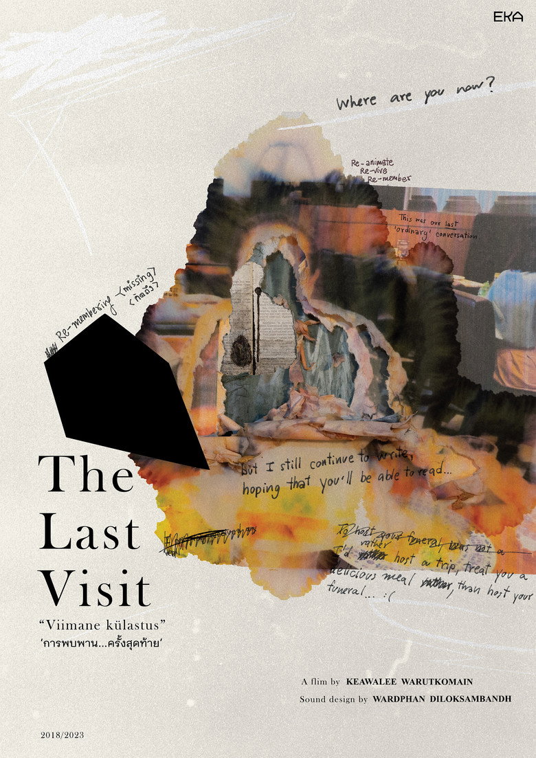 The Last Visit background