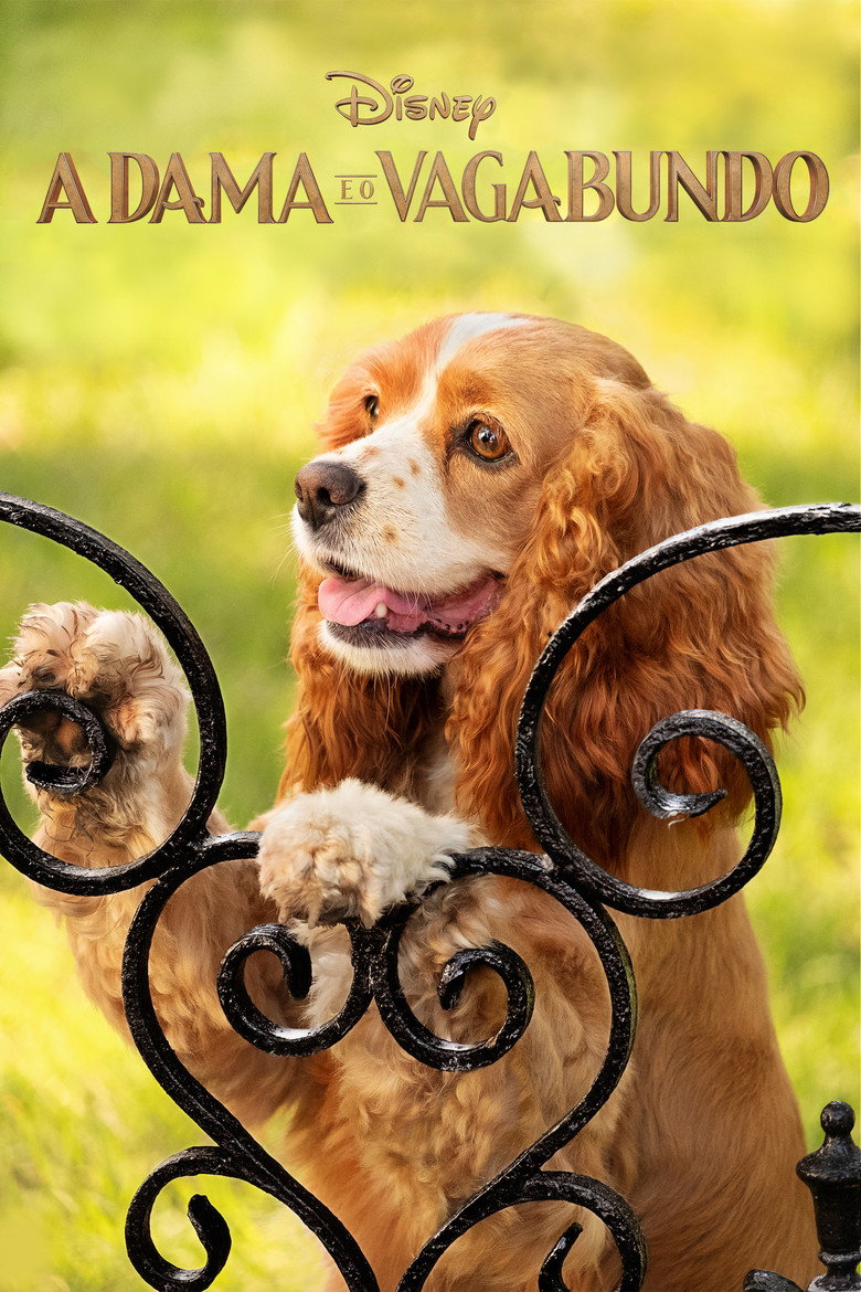 Póster la Película