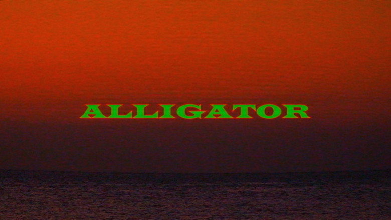 Alligator